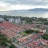 MBSP to increase assessment rate for Seberang Perai properties in 2025